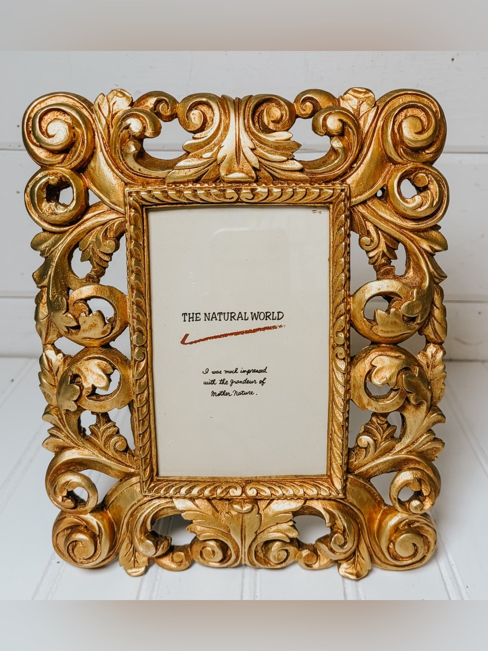 Vintage Gold Leaf Ornate Baroque Style Picture Frame